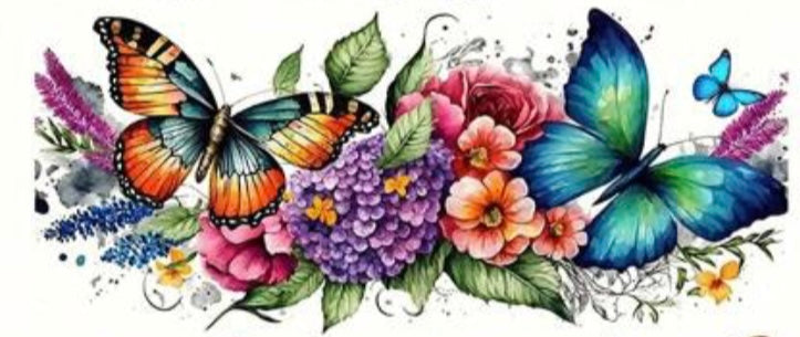 Butterfly
