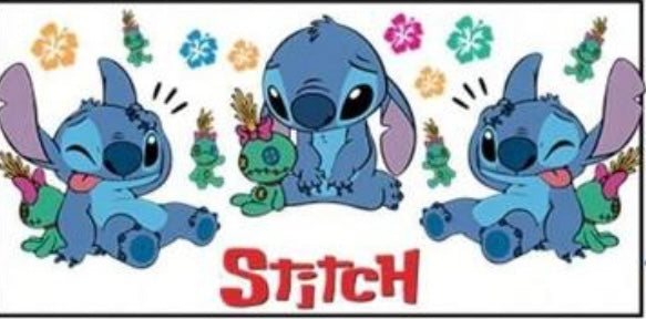 #1 Stitch