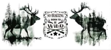 No bragging born to be wild