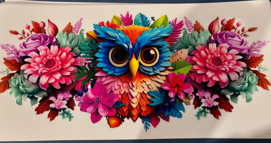 Owl decal